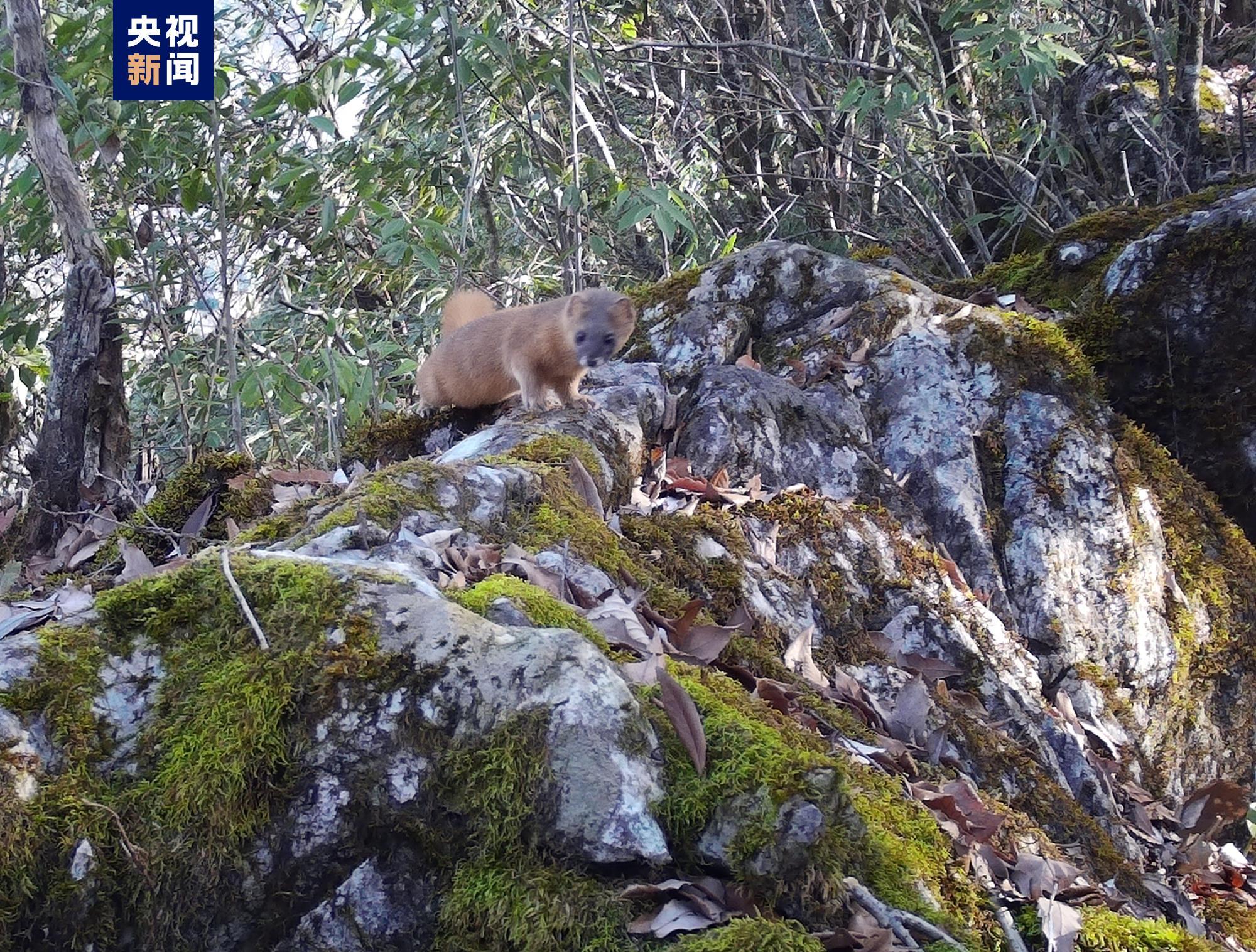 流水不足无法提现